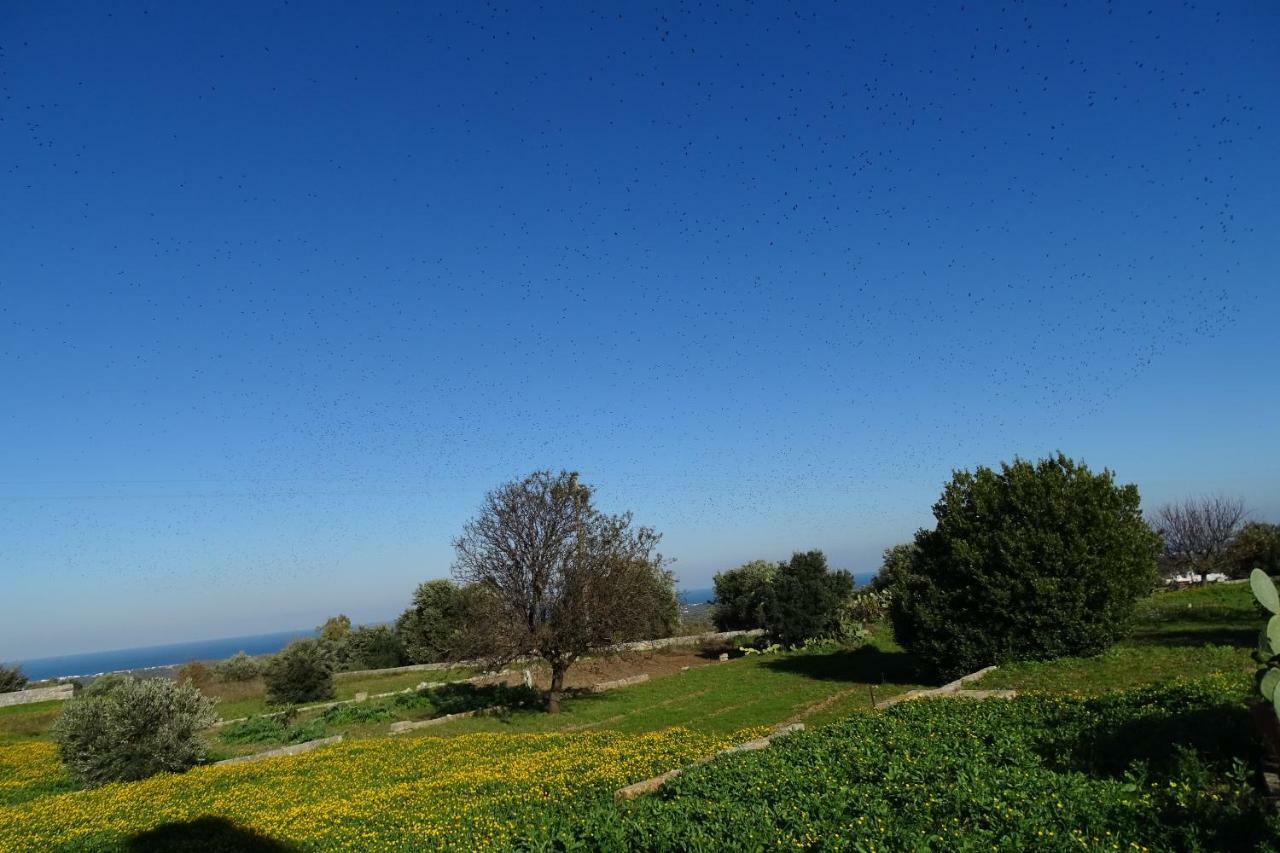 Willa Il Fico D'India Dell'Antico Orto Ostuni Zewnętrze zdjęcie