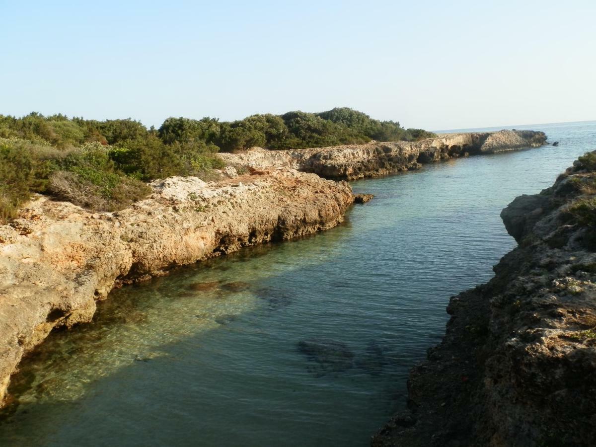 Willa Il Fico D'India Dell'Antico Orto Ostuni Zewnętrze zdjęcie